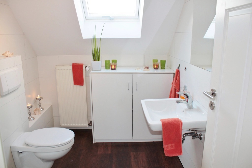 Attic Skylight