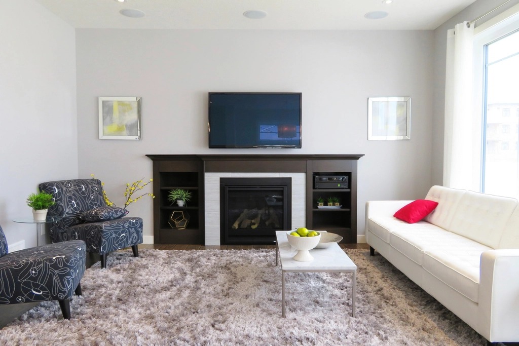 Fireplace Shag Rug